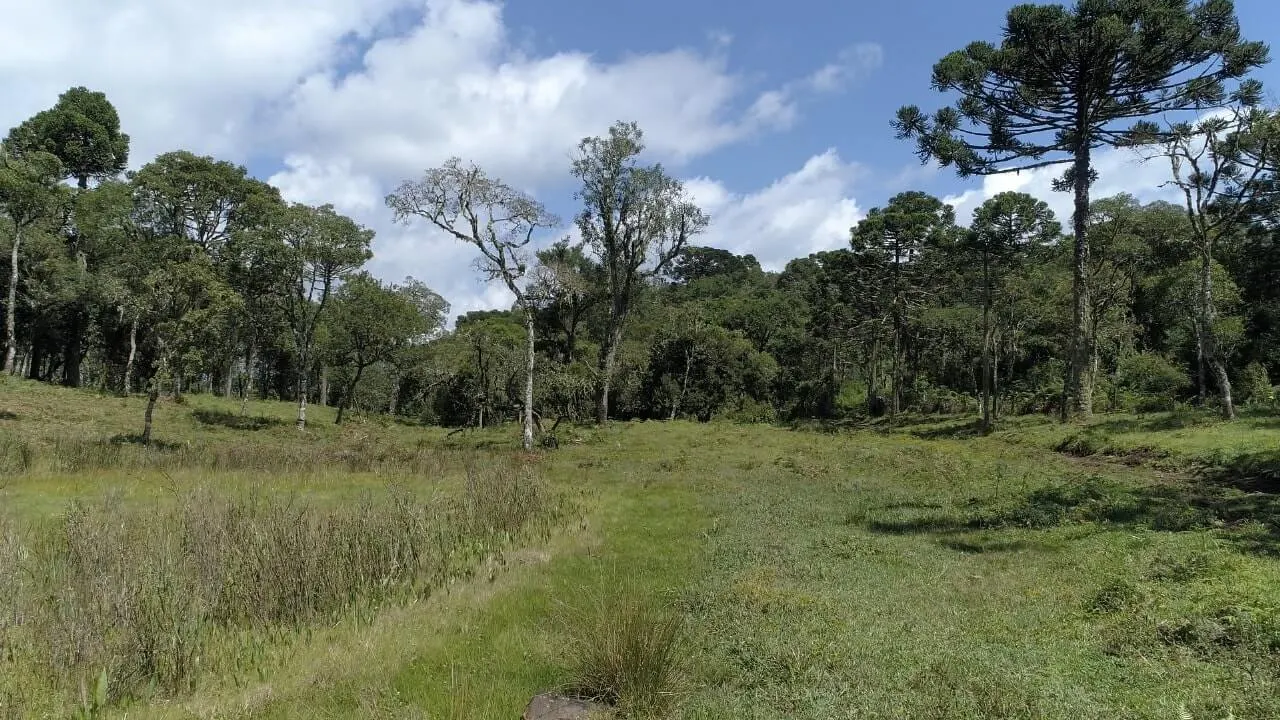 Sítio à venda de 20 ha em Urubici, SC, Brasil