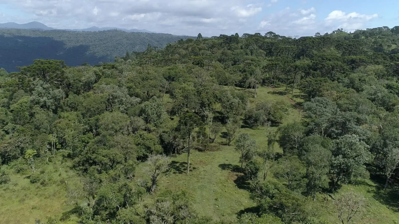 Sítio à venda de 20 ha em Urubici, SC, Brasil