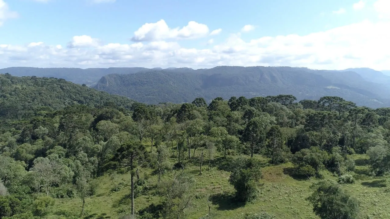 Sítio à venda de 20 ha em Urubici, SC, Brasil