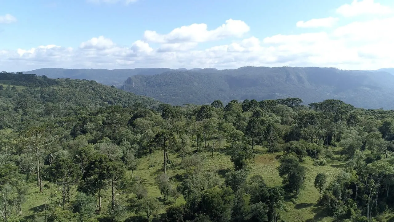 Sítio à venda de 20 ha em Urubici, SC, Brasil