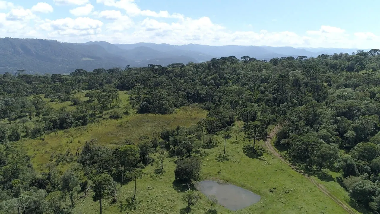 Sítio à venda de 20 ha em Urubici, SC, Brasil