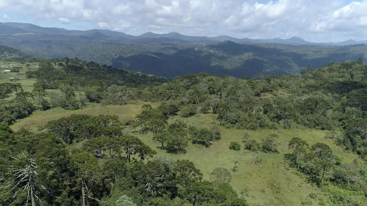 Sítio à venda de 20 ha em Urubici, SC, Brasil