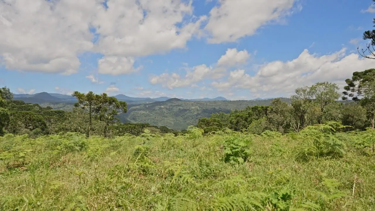 Sítio à venda de 20 ha em Urubici, SC, Brasil