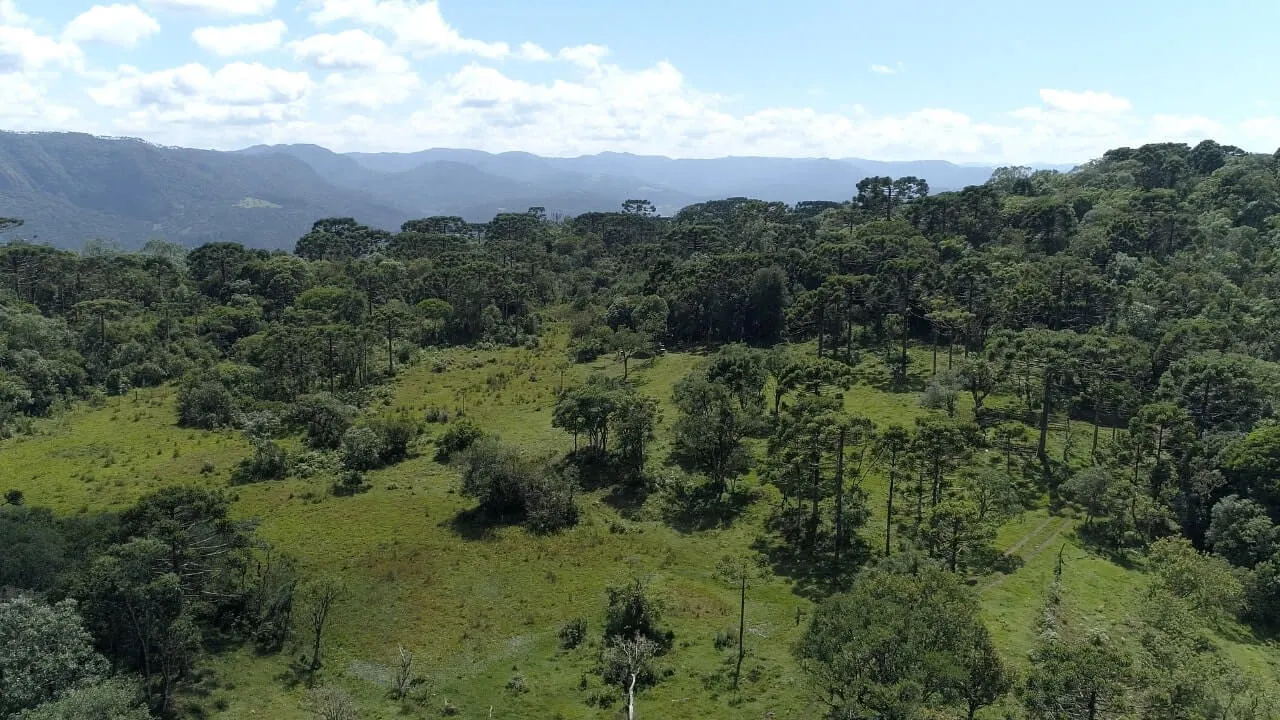 Sítio à venda de 20 ha em Urubici, SC, Brasil