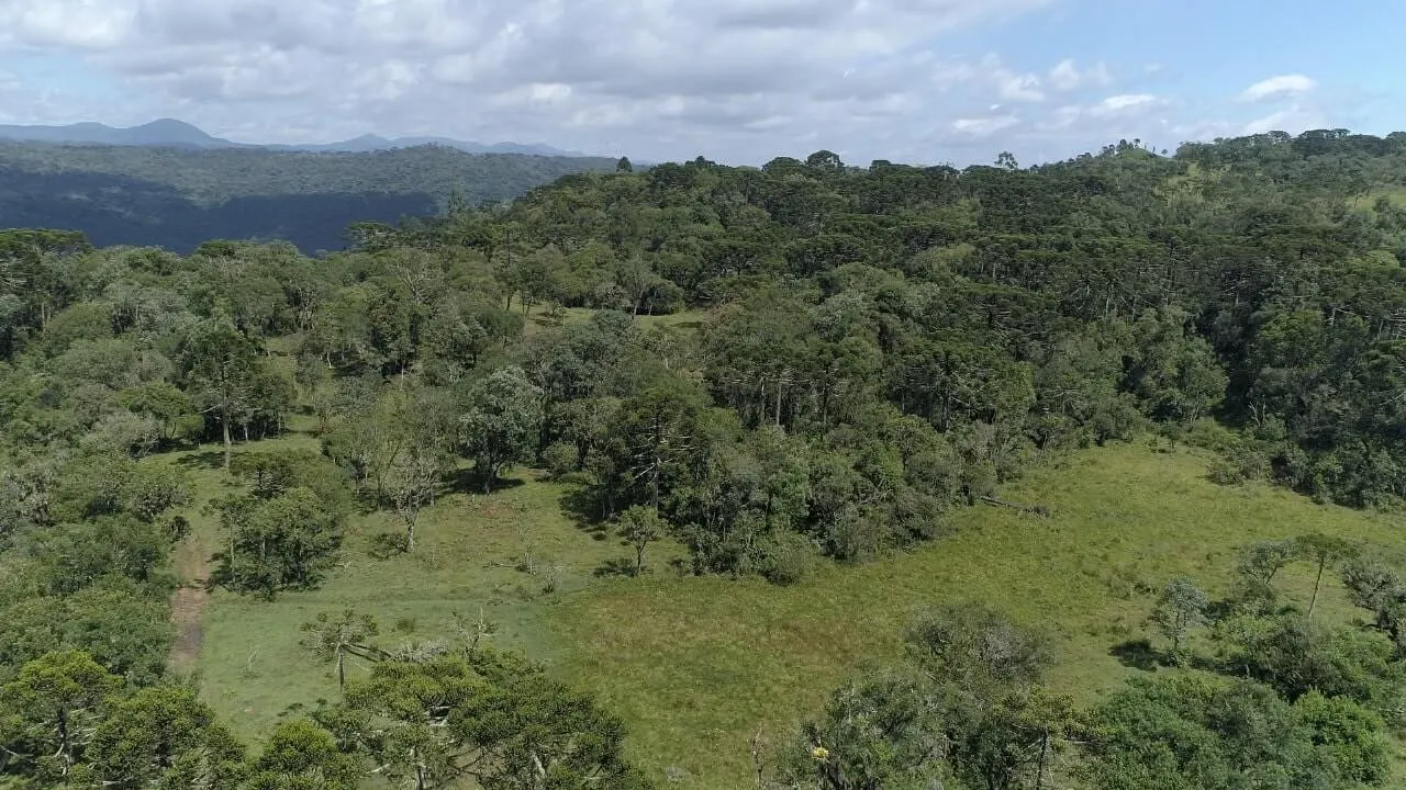 Sítio à venda de 20 ha em Urubici, SC, Brasil