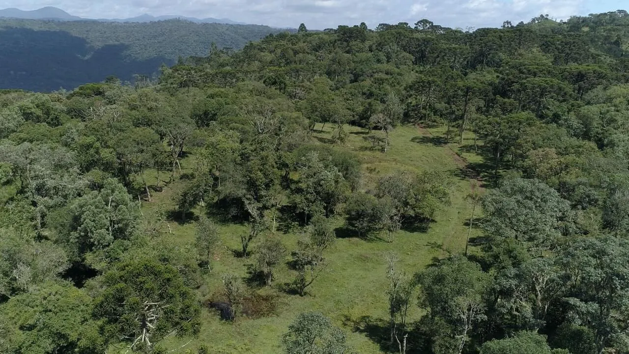 Sítio à venda de 20 ha em Urubici, SC, Brasil