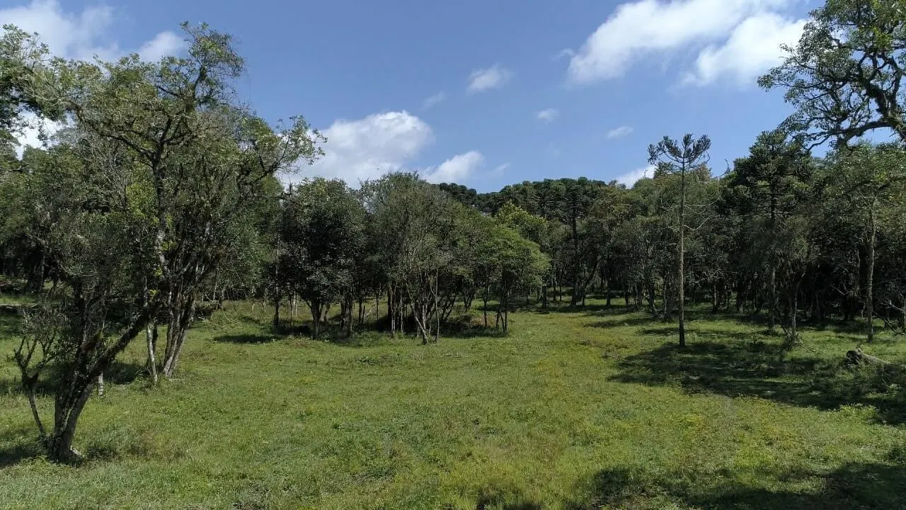 Sítio à venda de 20 ha em Urubici, SC, Brasil