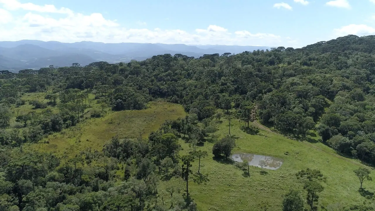 Sítio à venda de 20 ha em Urubici, SC, Brasil
