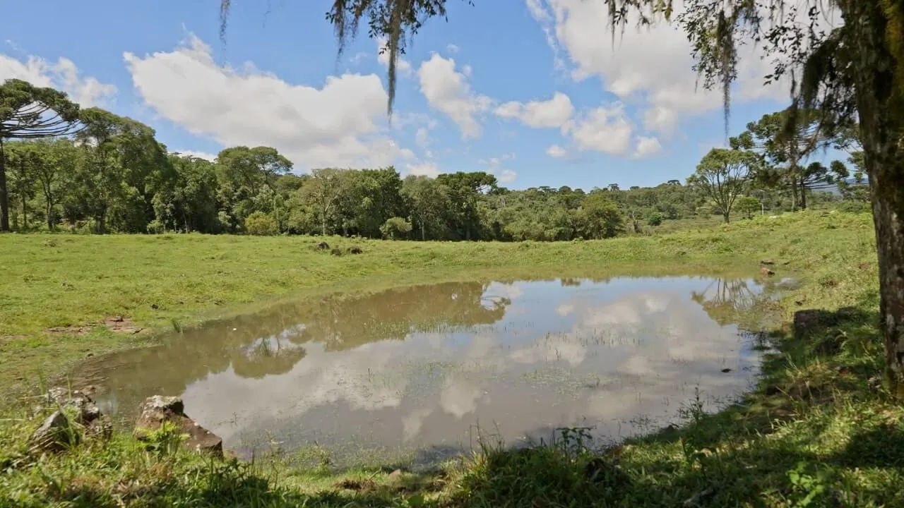 Sítio à venda de 20 ha em Urubici, SC, Brasil
