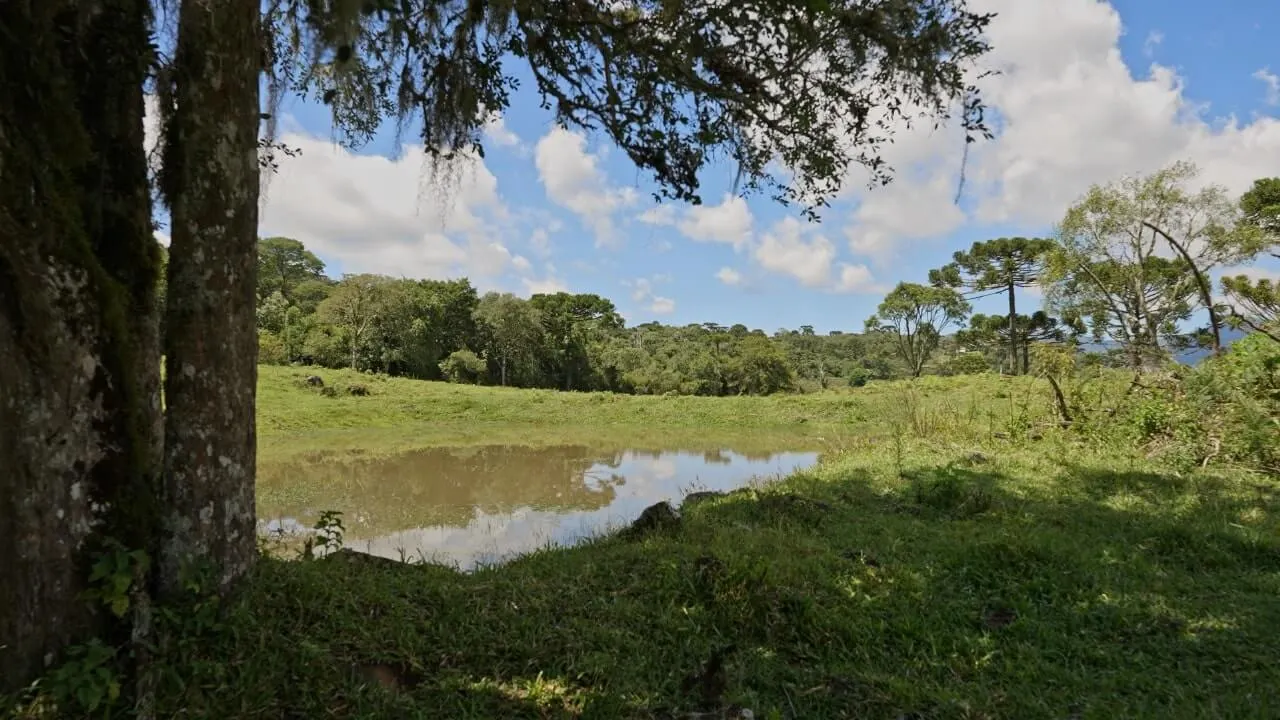 Sítio à venda de 20 ha em Urubici, SC, Brasil