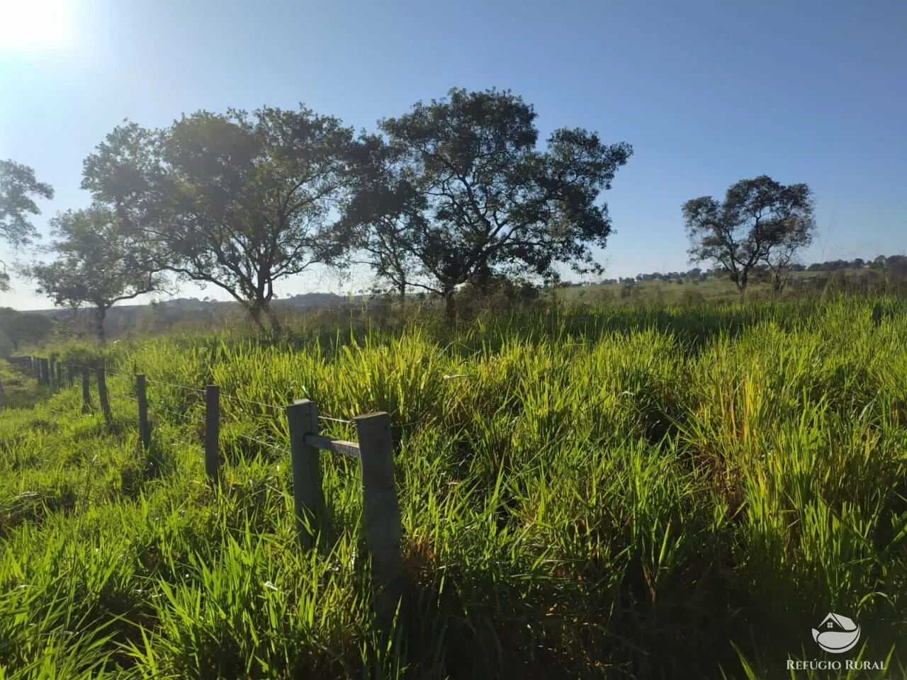 Fazenda à venda de 2.508 ha em Pedra Preta, MT, Brasil