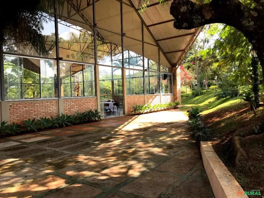 Sítio à venda de 25 ha em Manduri, SP, Brasil
