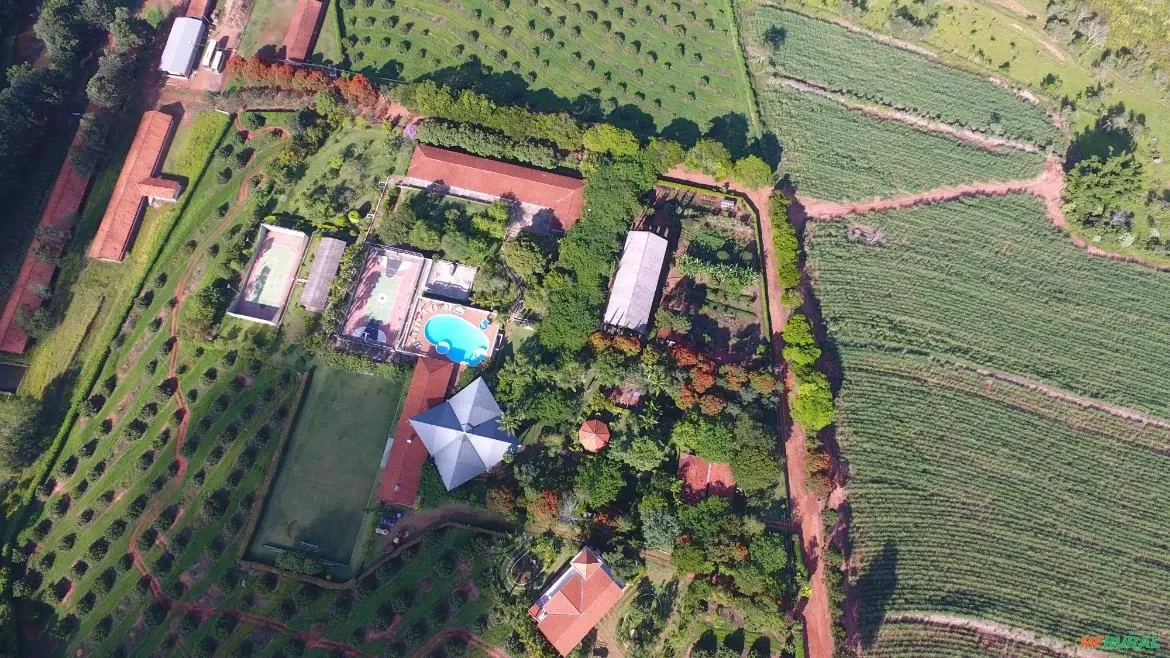 Sítio à venda de 25 ha em Manduri, SP, Brasil