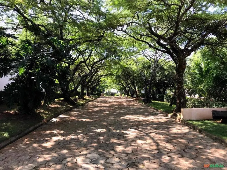 Sítio à venda de 25 ha em Manduri, SP, Brasil