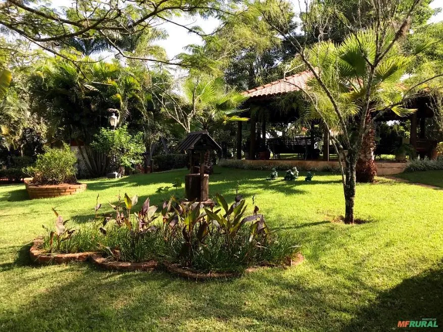 Sítio à venda de 25 ha em Manduri, SP, Brasil