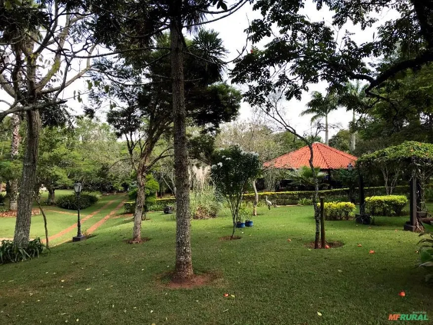 Sítio à venda de 25 ha em Manduri, SP, Brasil
