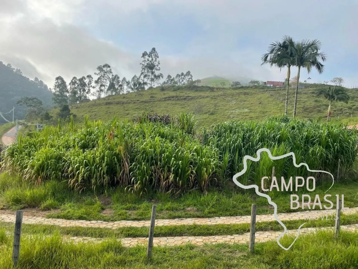 Sítio à venda de 5 ha em São José dos Campos, SP, Brasil