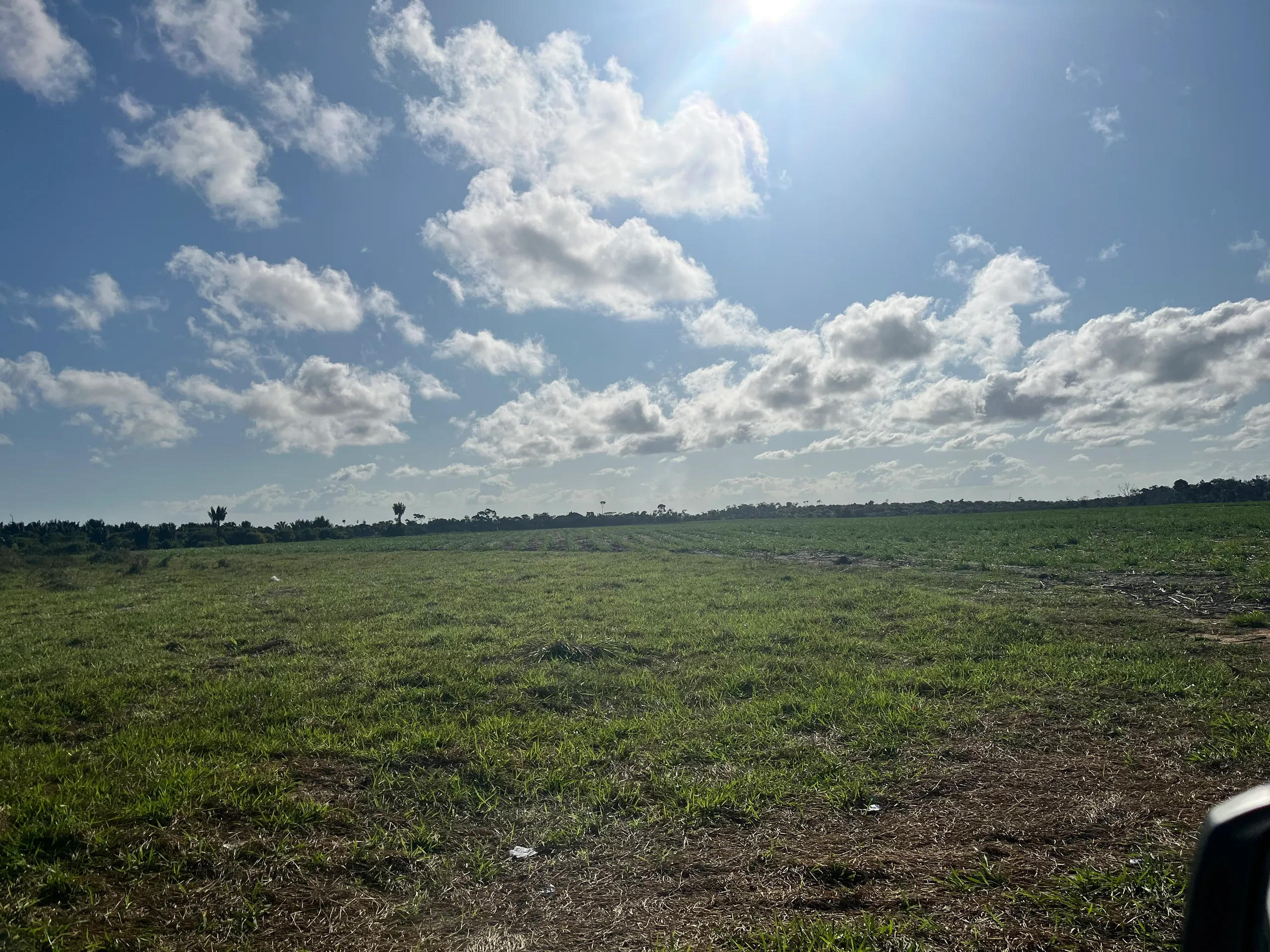 Fazenda para Arrendar de 500 ha em Belmonte, BA, Brasil