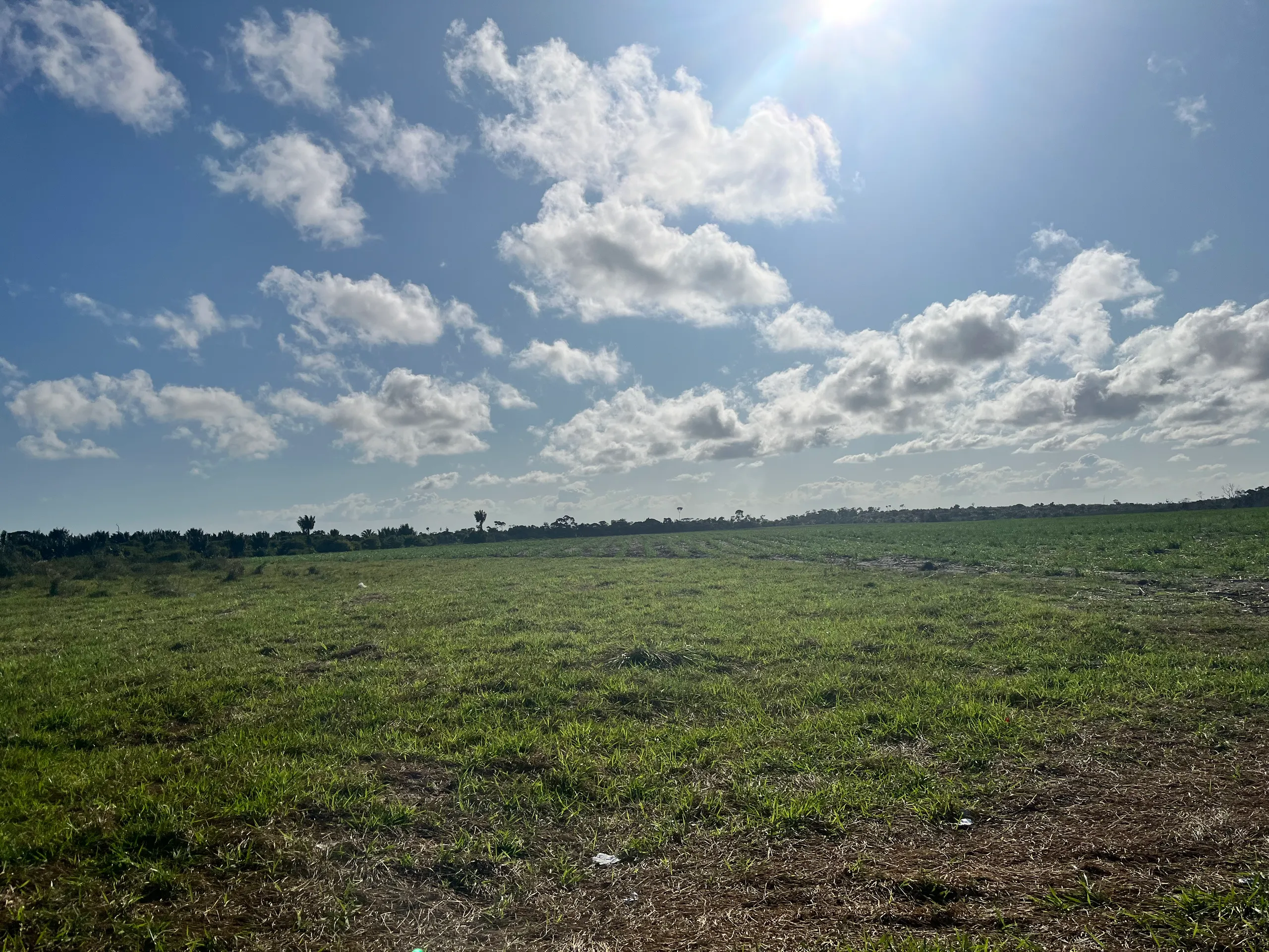Fazenda para Arrendar de 500 ha em Belmonte, BA, Brasil