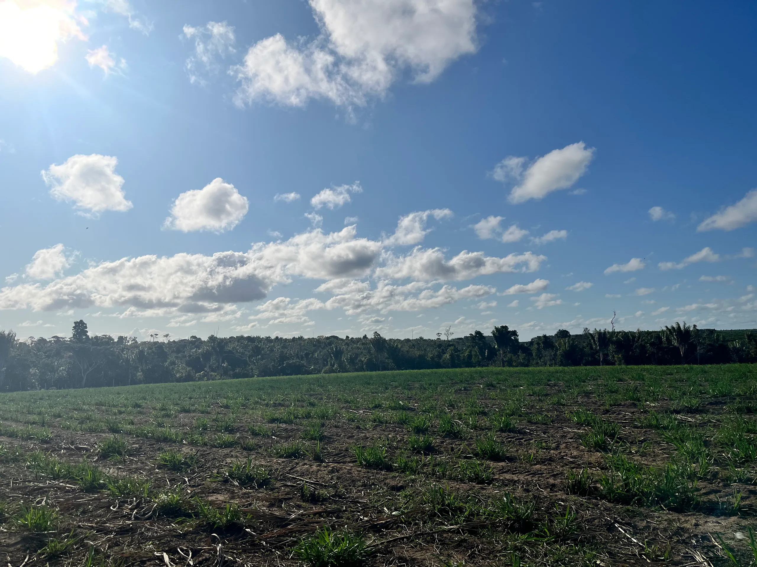 Fazenda para Arrendar de 500 ha em Belmonte, BA, Brasil