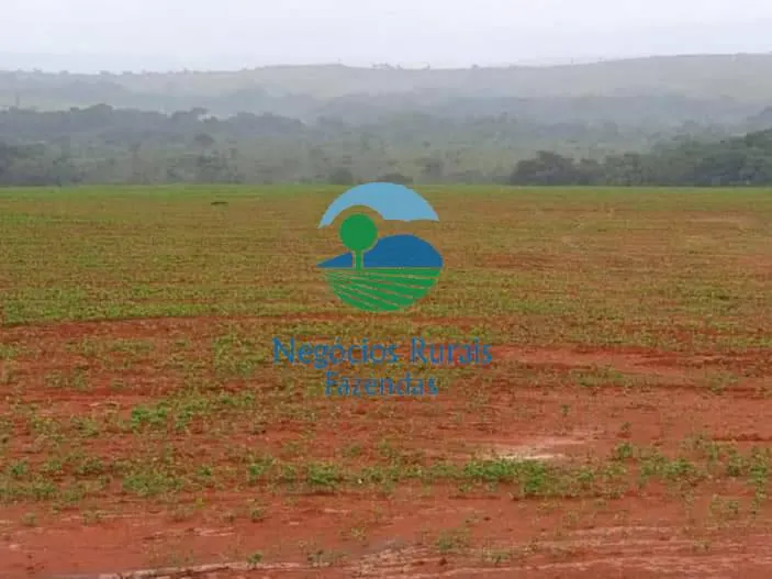 Fazenda à venda de 706 ha em Uruaçu, GO, Brasil