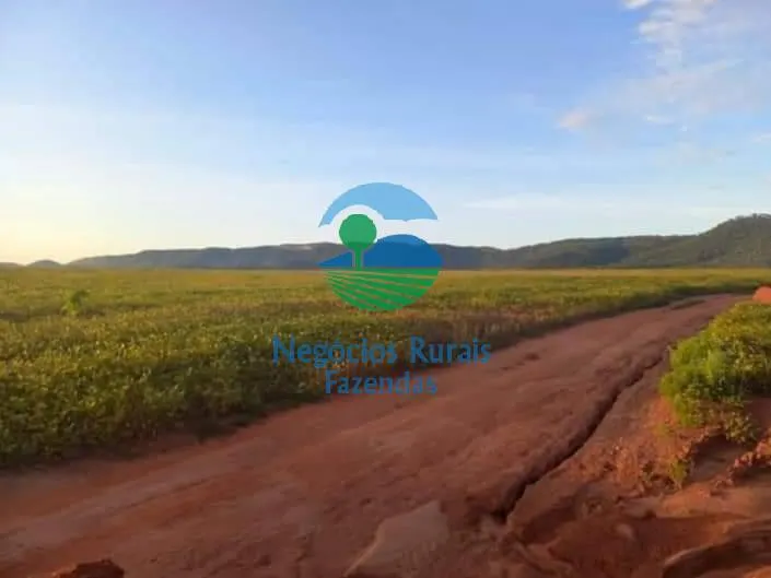 Fazenda à venda de 706 ha em Uruaçu, GO, Brasil