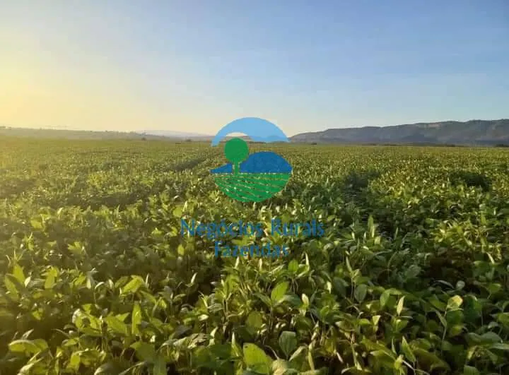 Fazenda à venda de 706 ha em Uruaçu, GO, Brasil