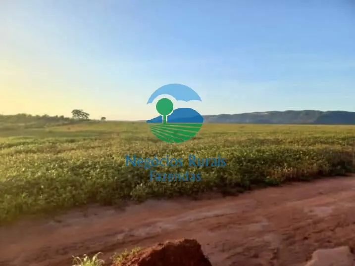 Fazenda à venda de 706 ha em Uruaçu, GO, Brasil