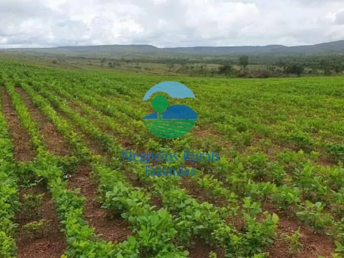 Fazenda à venda de 706 ha em Uruaçu, GO, Brasil