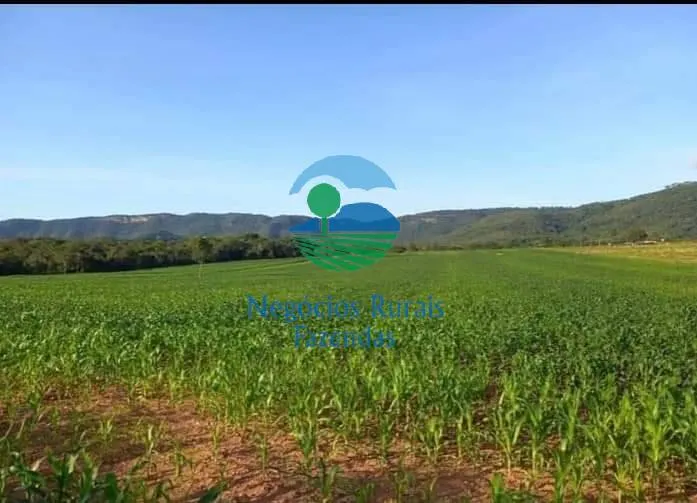 Fazenda à venda de 706 ha em Uruaçu, GO, Brasil