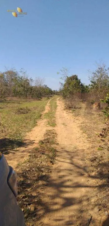 Fazenda à venda de 1.563 ha em Paranatinga, MT, Brasil