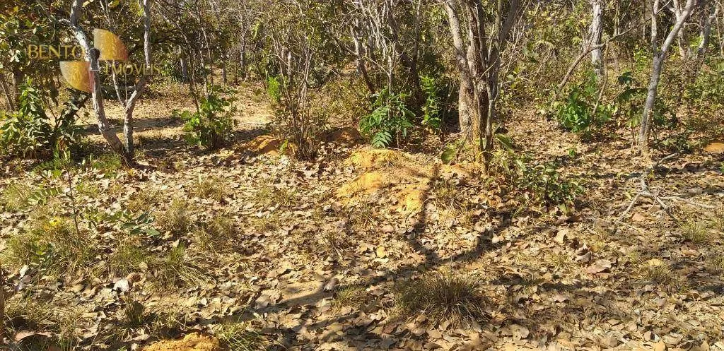 Fazenda à venda de 1.563 ha em Paranatinga, MT, Brasil