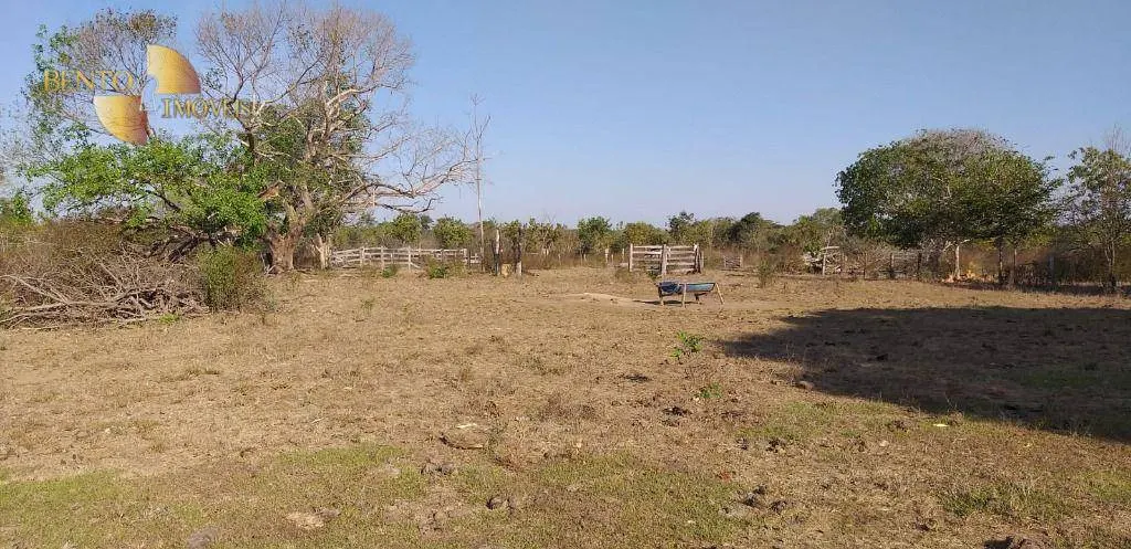 Fazenda à venda de 1.563 ha em Paranatinga, MT, Brasil