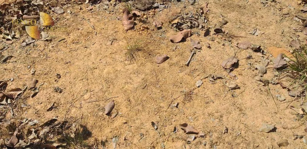 Fazenda à venda de 1.563 ha em Paranatinga, MT, Brasil
