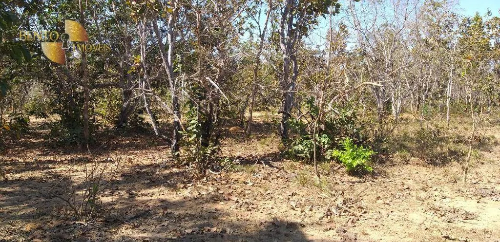 Fazenda à venda de 1.563 ha em Paranatinga, MT, Brasil