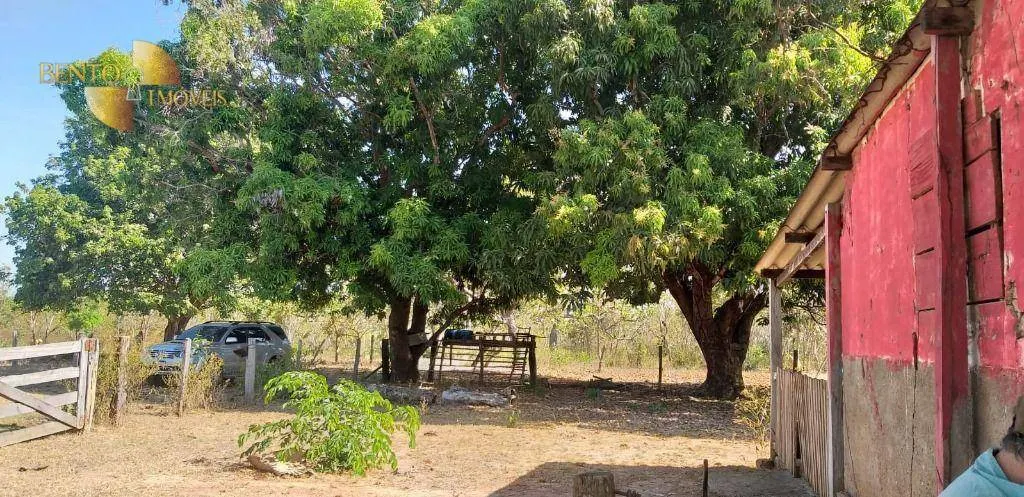 Fazenda à venda de 1.563 ha em Paranatinga, MT, Brasil