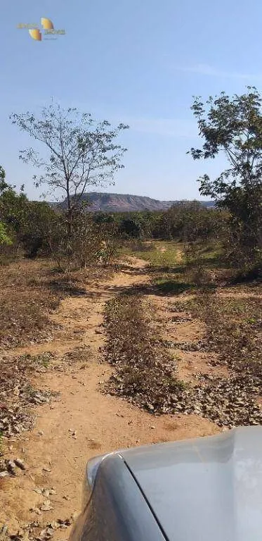 Fazenda à venda de 1.563 ha em Paranatinga, MT, Brasil