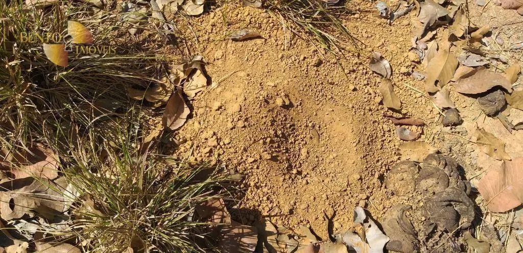 Fazenda à venda de 1.563 ha em Paranatinga, MT, Brasil