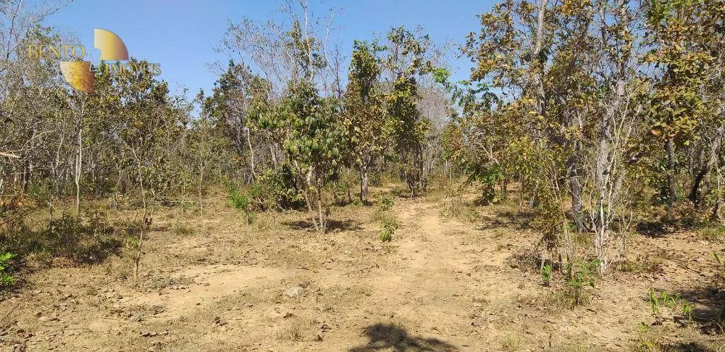 Fazenda à venda de 1.563 ha em Paranatinga, MT, Brasil