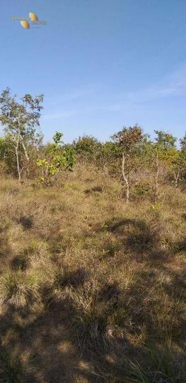 Fazenda à venda de 1.563 ha em Paranatinga, MT, Brasil