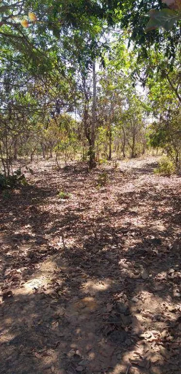 Fazenda à venda de 1.563 ha em Paranatinga, MT, Brasil