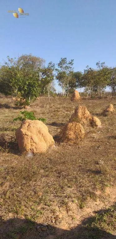Fazenda à venda de 1.563 ha em Paranatinga, MT, Brasil