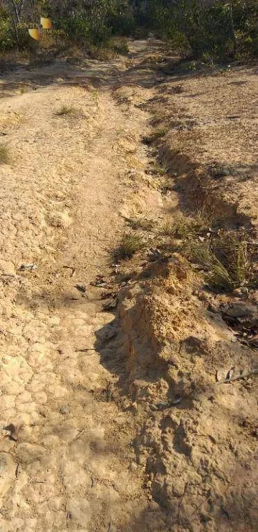 Fazenda à venda de 1.563 ha em Paranatinga, MT, Brasil