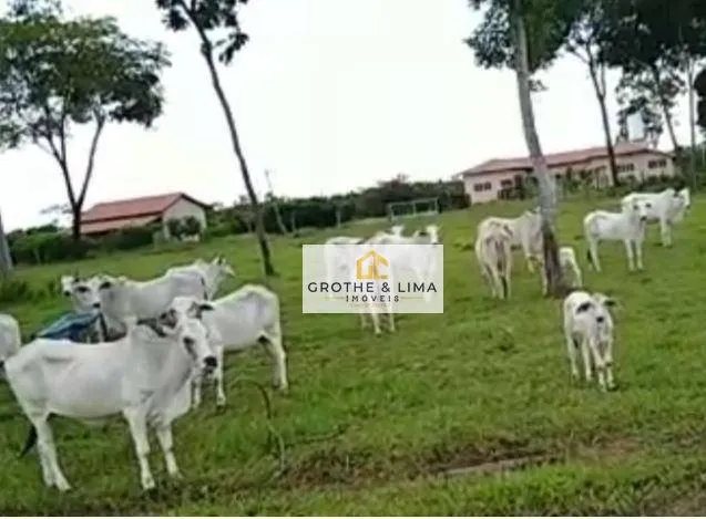 Fazenda à venda de 2.638 ha em Cocalinho, MT, Brasil