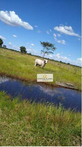 Fazenda à venda de 2.638 ha em Cocalinho, MT, Brasil