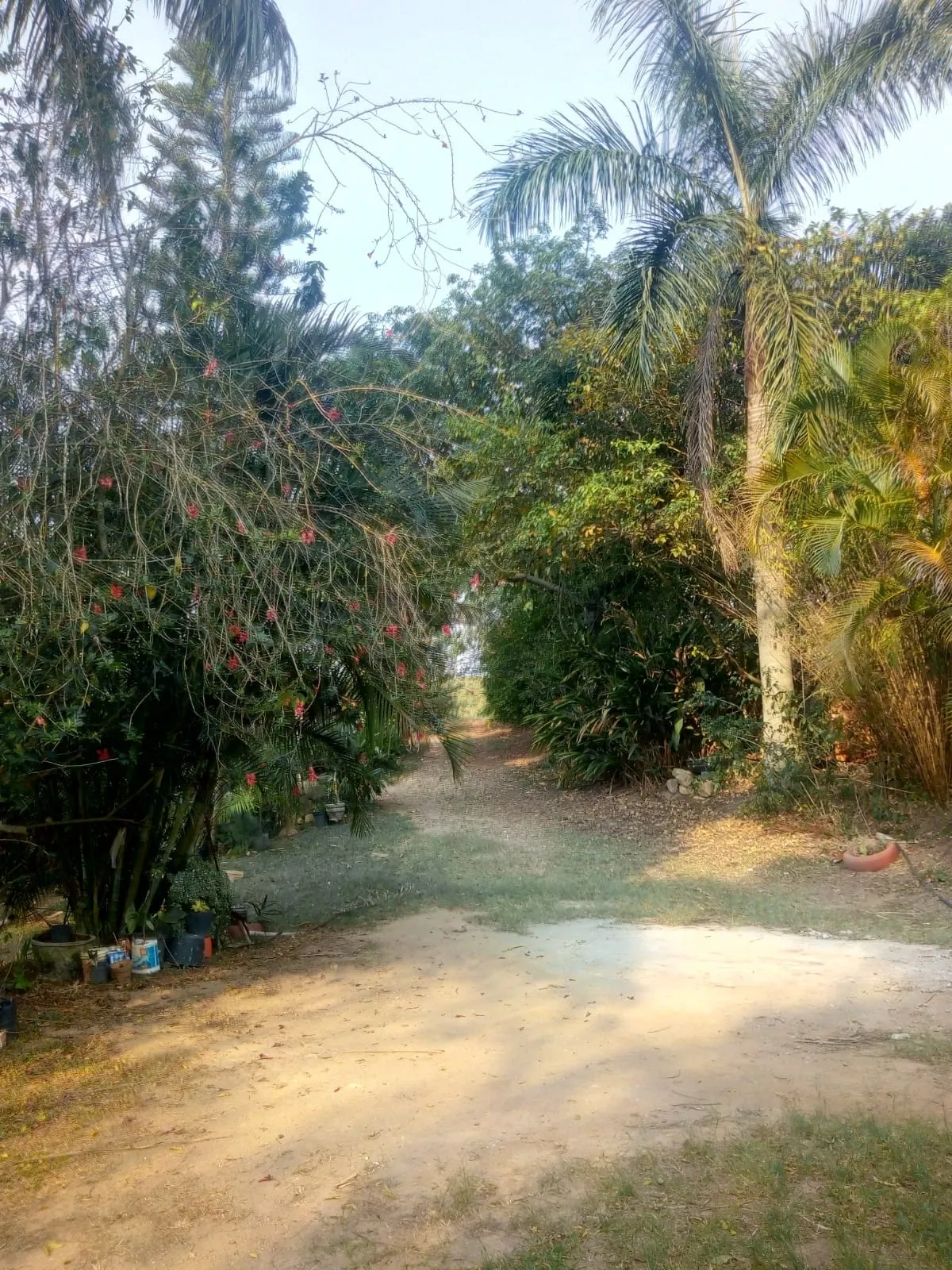 Sítio à venda de 4 ha em Amparo, SP, Brasil