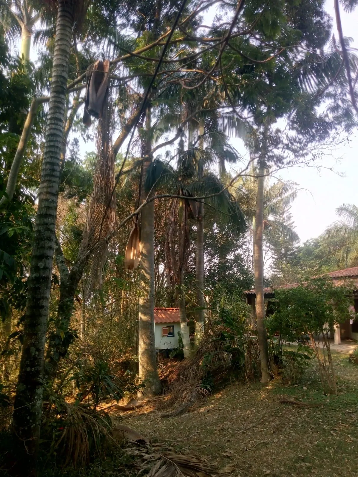 Sítio à venda de 4 ha em Amparo, SP, Brasil