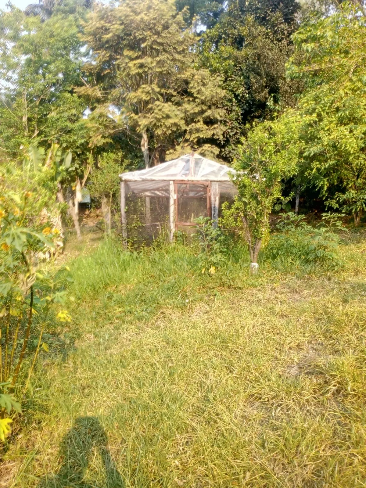 Sítio à venda de 4 ha em Amparo, SP, Brasil