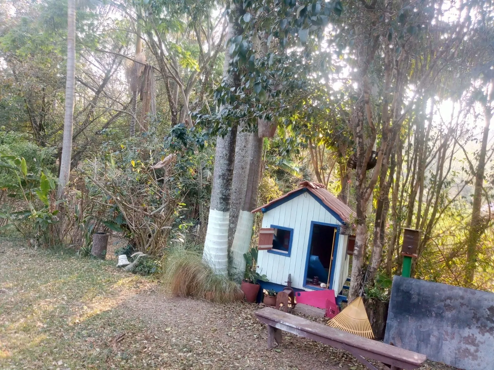 Sítio à venda de 4 ha em Amparo, SP, Brasil