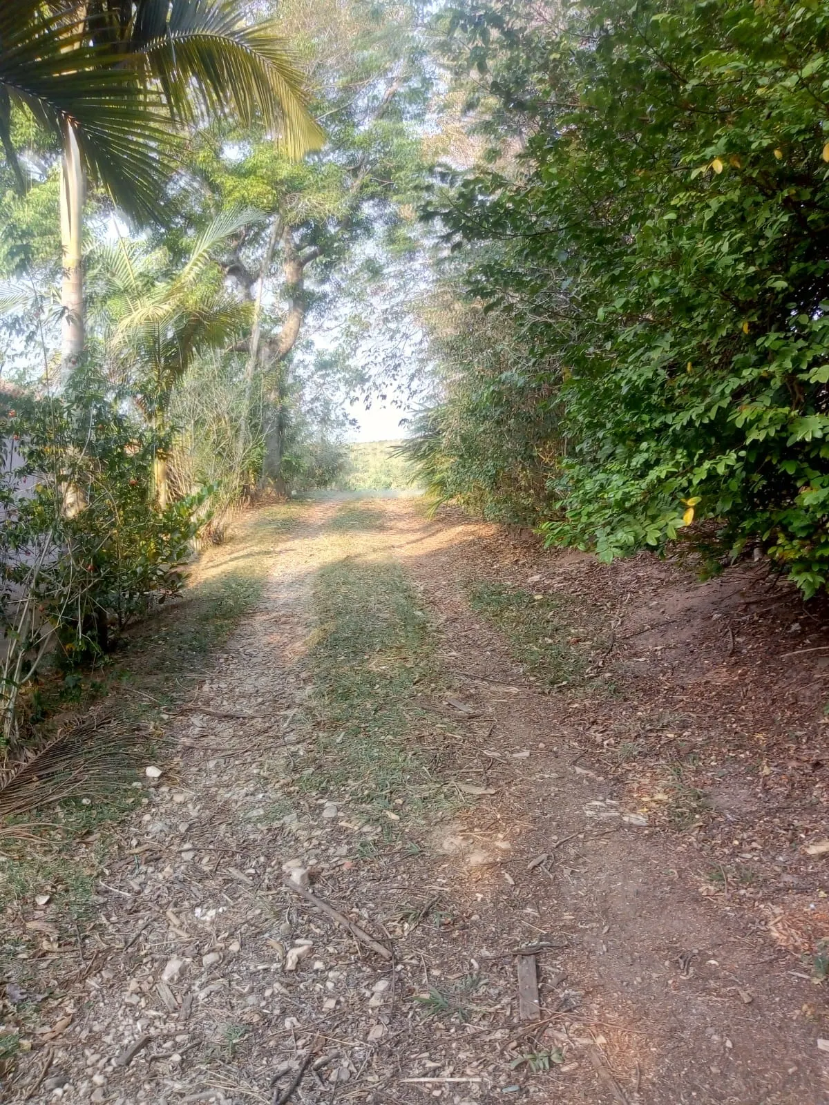 Sítio à venda de 4 ha em Amparo, SP, Brasil